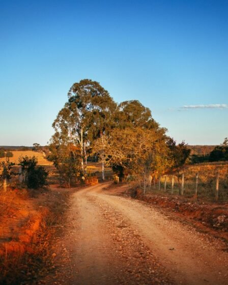 Estrada de terra no interior de Minas Gerais ao entardecer
